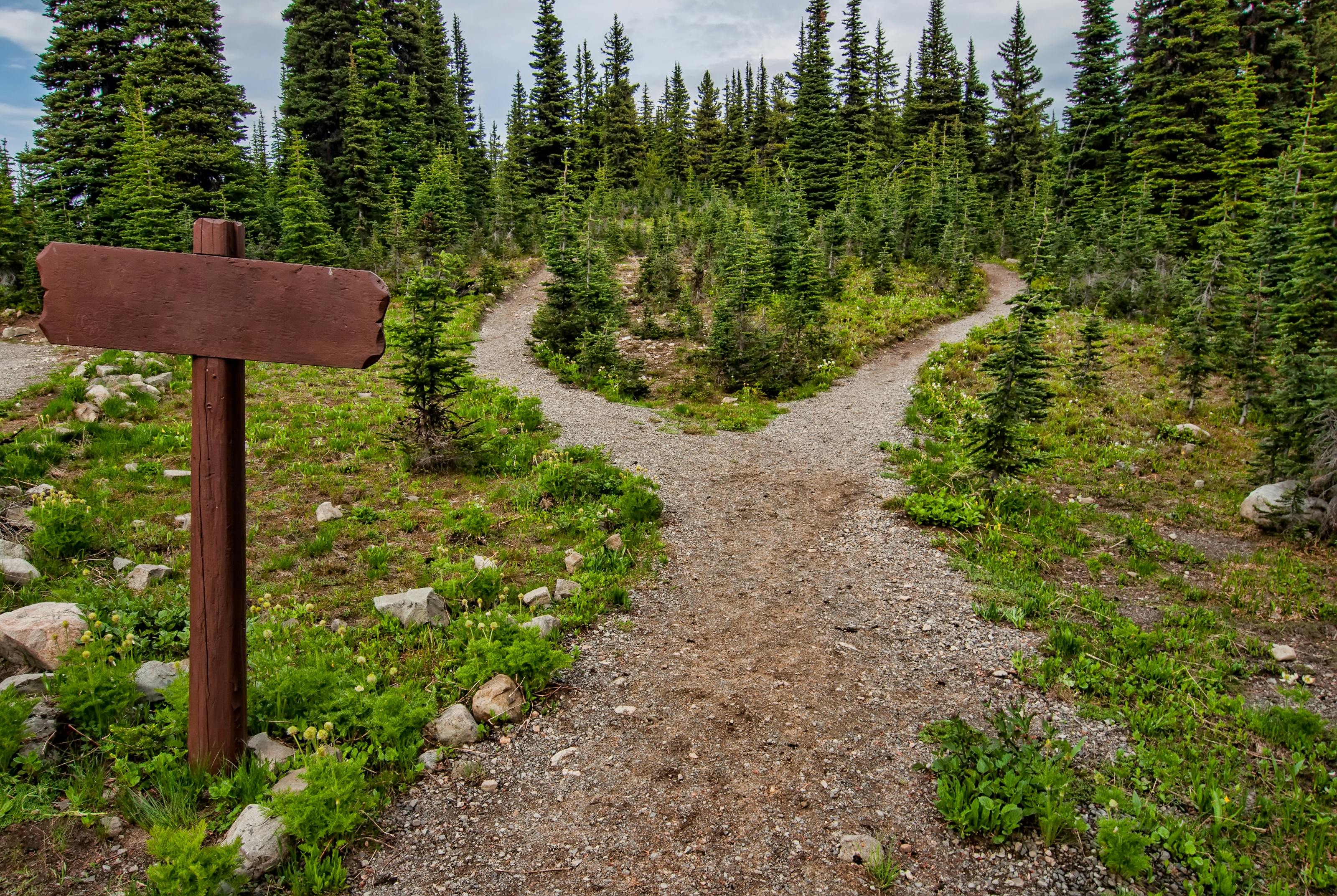 Blog post cover image